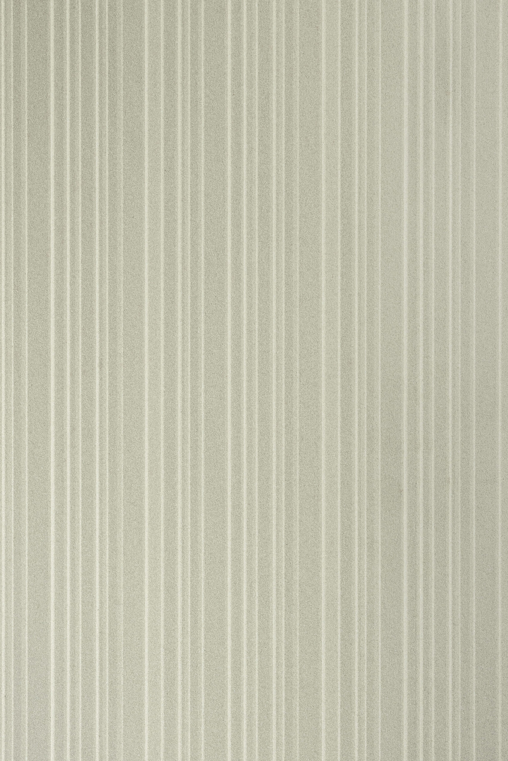 Crema Arena Line